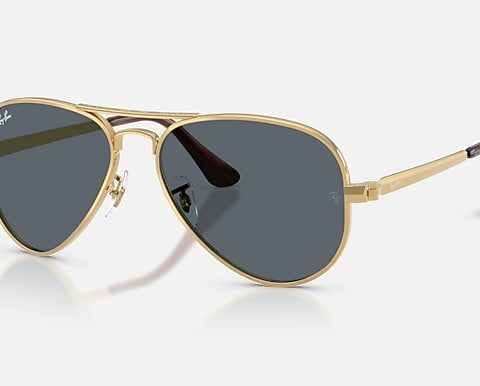 Ray-Ban RB3925 AVIATOR MAX